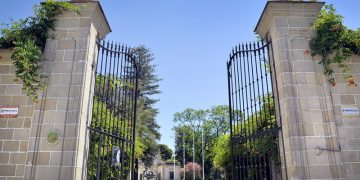 Jornada de puertas abiertas en Los Museos de la Atalaya el martes 28 con motivo del Día Mundial del Árbol